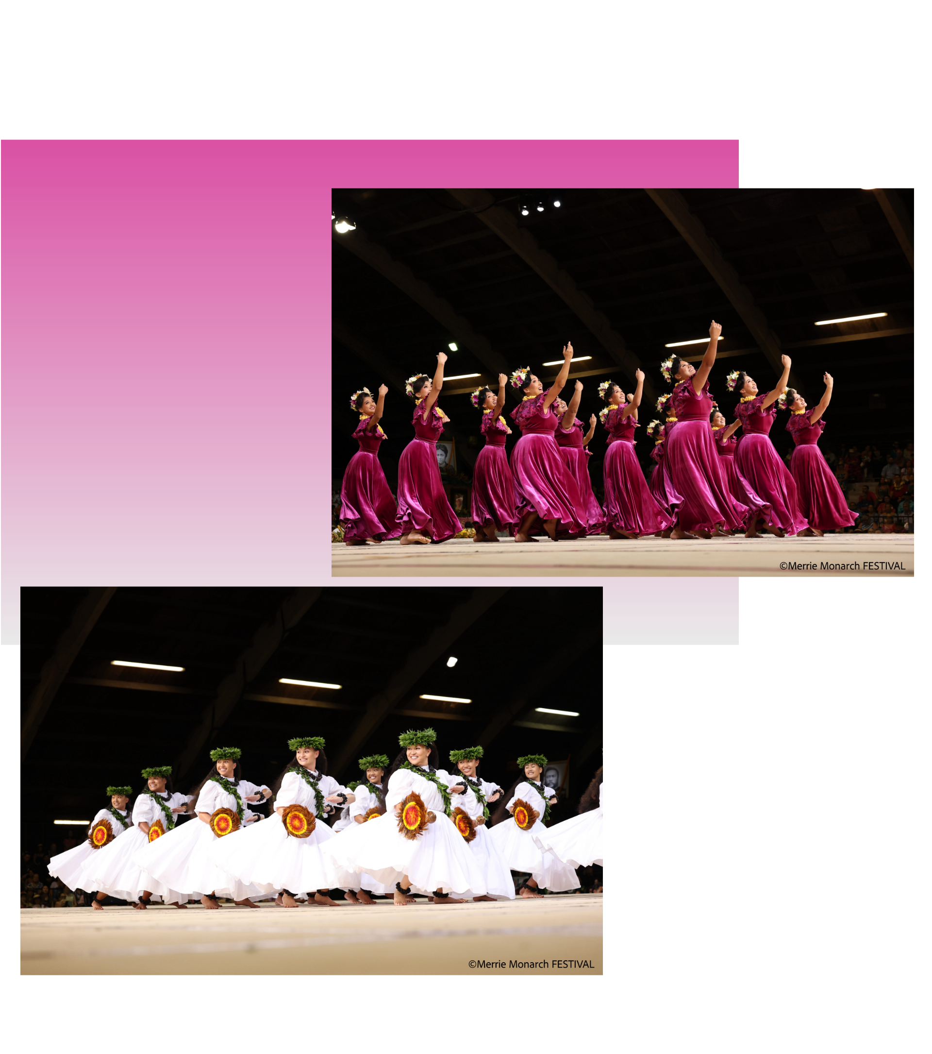 Hālau Ka Lei Mokihana o Leinā‘ala Kumu : Leinā‘ala Pavao Jardin ワヒネ総合2位